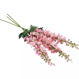 Delphinium Pink.jpg