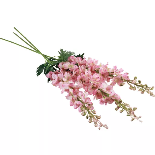 Delphinium Pink.jpg