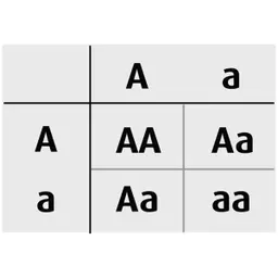 AP02-288_media-1.jpg