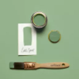 little sprout samples.webp