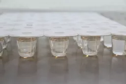 a17664c8c1e47bc8921df43399520add.jpg?