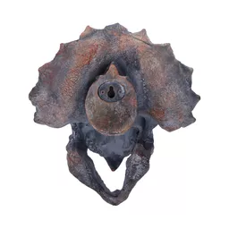 Triceratops 23cm (4).jpg