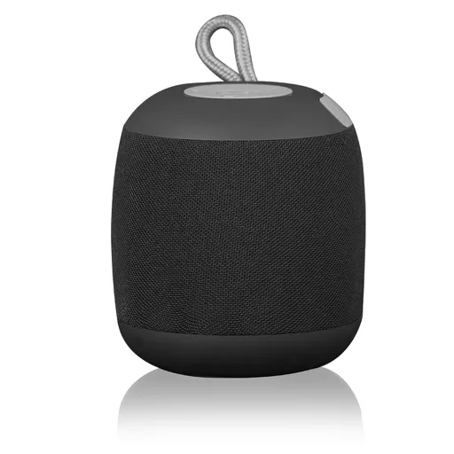 BT Voice Enabled Speaker