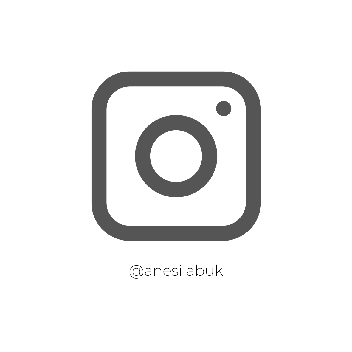 Insta Logo Anesi.png