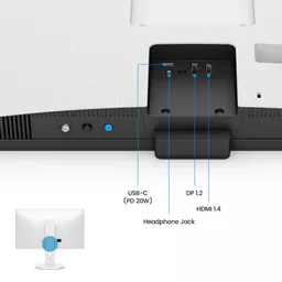 QLV83dRQ6kinC5CA5sLyUw.c-r.jpg?