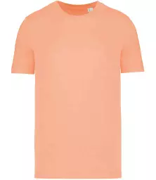 NS300%20APR%20FRONT.jpg?