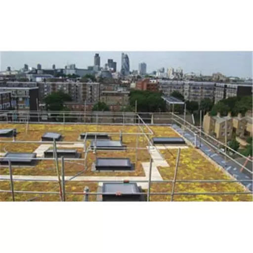 UK Green Roofing Sedum Kit per sq.m
