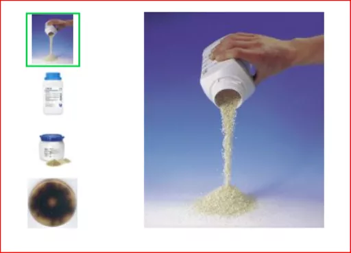 1649749559bfc192d18f4be4ce83bea015f7f4074d.PNG?