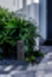 fit (7).webp