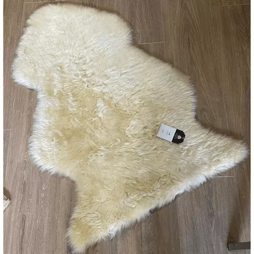 1669466898-54791900.png?