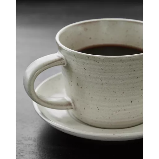 Cup & Saucer, Pion, Grey/White