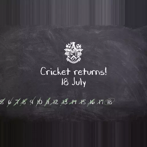 Cricket Is Back: July 18th