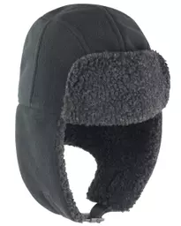 Thinsulate Sherpa Hat