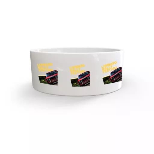 mockup-1771520608664-1-0.jpg?