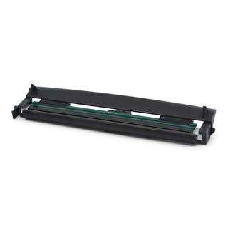 Zebra P1116110-009 print head
