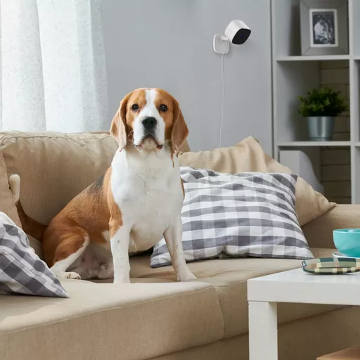 JrRDp1eC2U-wzlZKrBcRtw.c-r.jpg?