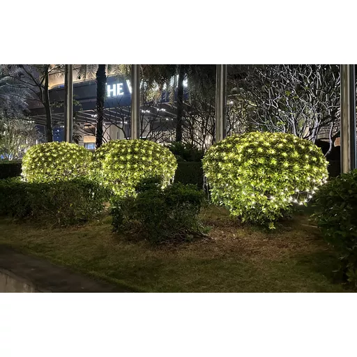 1718886488-63746600.jpg?