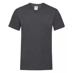 Men's Valueweight V-Neck T-Shirt