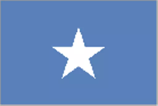 https://starbek-static.myshopblocks.com/images/tmp/fg_208_somalia.gif