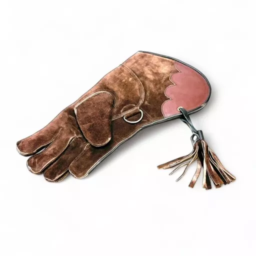 Falconry Glove