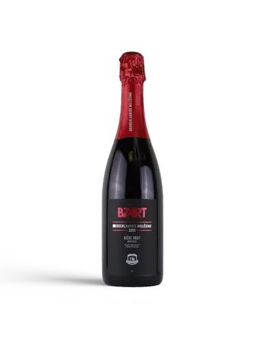 Aged: Bzart Kriekenlambiek (2019)