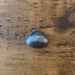 1706965889-24958300.jpg?