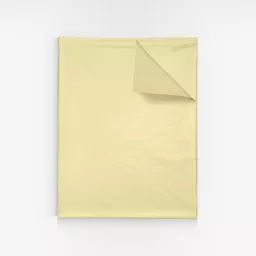 3601200-Ivory-MF-tissue-paper.jpg