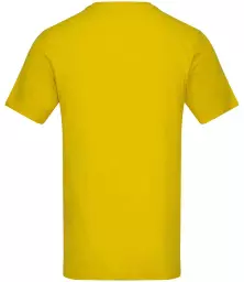 AT001%20SNY%20BACK.jpg?