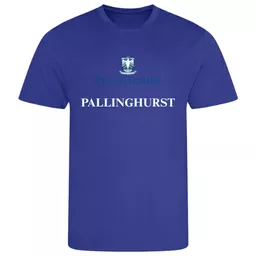 PennthorpeSchool_HouseTee_Pallinghurst_Front.png