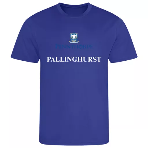 PennthorpeSchool_HouseTee_Pallinghurst_Front.png