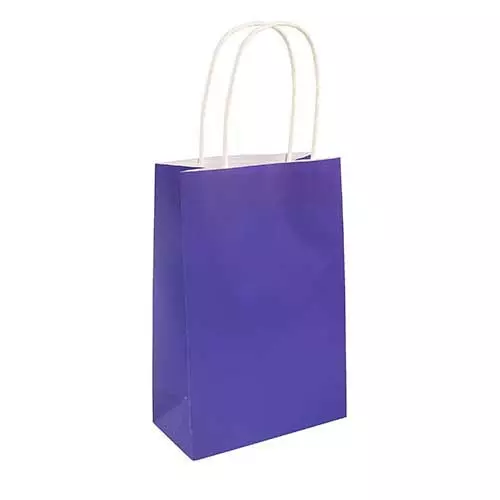 Purple Paper Party Bag - Pack of 48