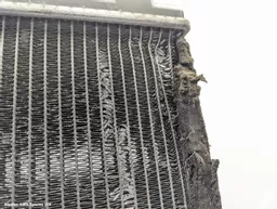 28203b28-b41b-4c65-92c0-1c2d4aa1aa84.jpeg?