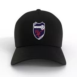 mockup-1763993893472-1-1.png?