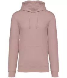 NS401%20PEL%20FRONT.jpg?