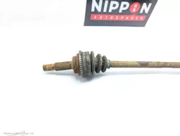 37d080de-b08e-4f0c-9ab1-26ba4929bce5.jpeg?