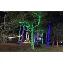 1722613033-61624600.jpg?