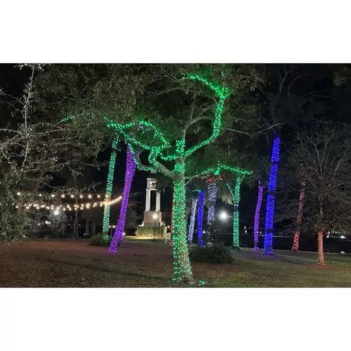 1722613033-61624600.jpg?