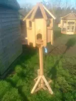 Wild Birds