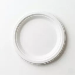 9_ Round Bagasse Plate_0000s_0000_9_ Round Bagasse Plate.jpg