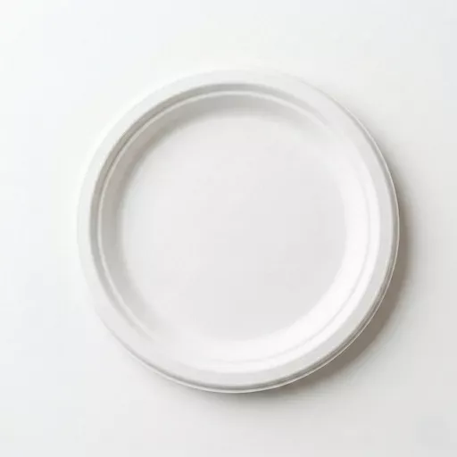 9_ Round Bagasse Plate_0000s_0000_9_ Round Bagasse Plate.jpg