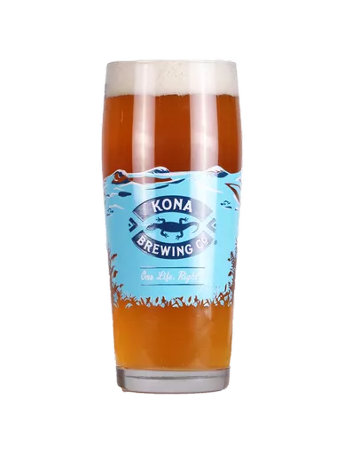 big_wave_pint_new.png?