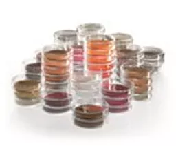 1582624095ec69f7883ba301afec1823d632f296bc.jpg?