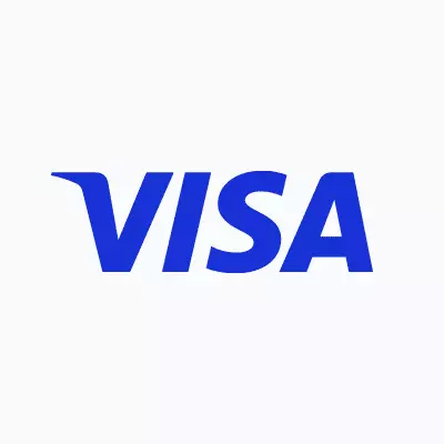 Visa icon