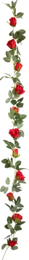 IT393765.jpg