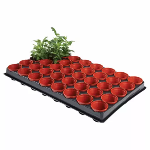 84192-seed-and-cutting-pots-6cm-40-pack-1500x1500 - Copy.webp