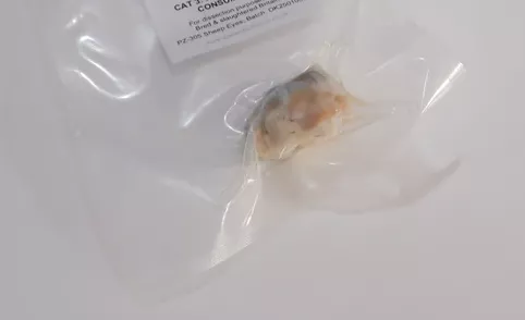 Preserved Sheep Eyes