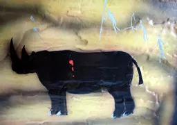 bh_497_rhino_750b.jpg