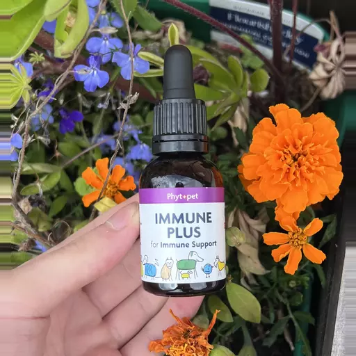 Phytopet Immune Plus (30ml)
