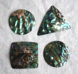 nz_106_paua_700.jpg
