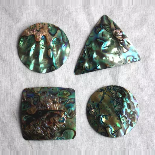 Paua Pieces